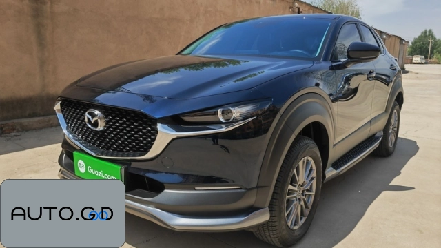 EV xDrive25i M Off-Road Package 0
