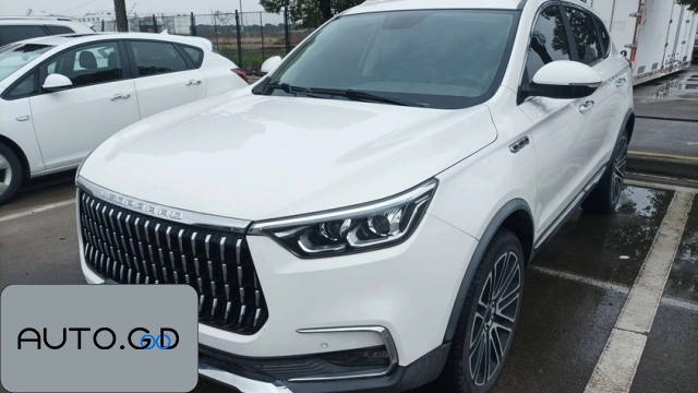 Leopardo Leopardo 1.6T GDI DCT Elite 0