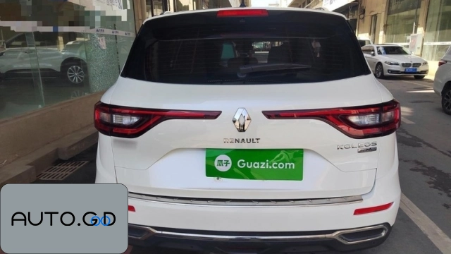 Renault koleos 2.0L 2WD Leading Edition 1