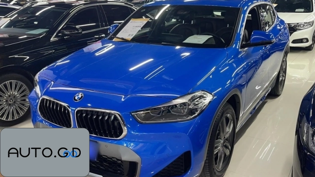 BMW X2 sDrive25i Leading M Off-Road Package 0