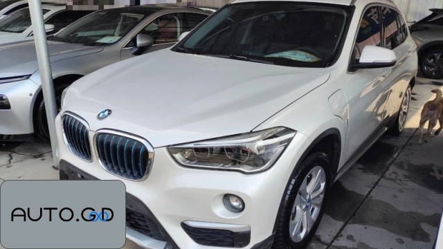 BMW X1 new energy xDrive25i M Off-Road Package 0