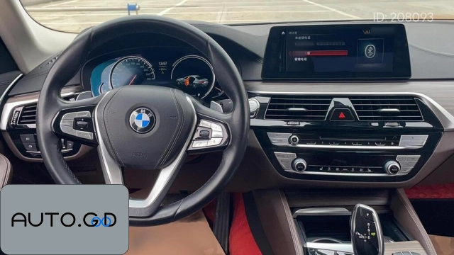 BMW 5 Modified 530Li Leading Luxury Package 2