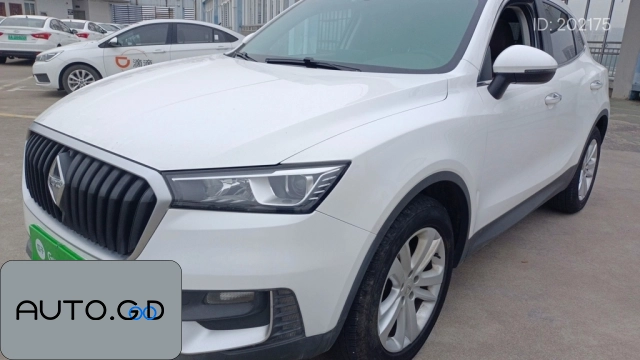 BORGWARD BX5 20TGDI Automatic 2WD Pioneer 0
