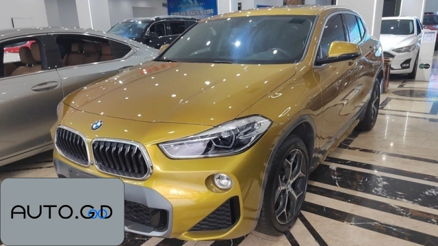 BMW X2 sDrive20i M Off-Road Package Country VI (Import) 0