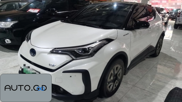 EV Premium Sunroof Edition 0