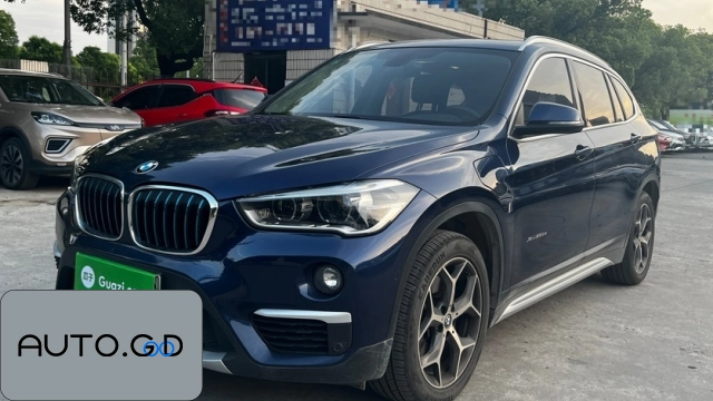 BMW X1 new energy xDrive25Le Luxury 0