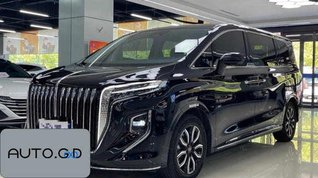 Hongqi Hongqi xDrive25i M Off-Road Package 0