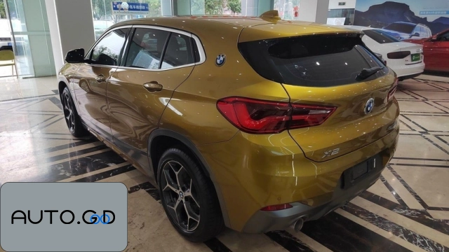 BMW X2 sDrive20i M Off-Road Package Country VI (Import) 1
