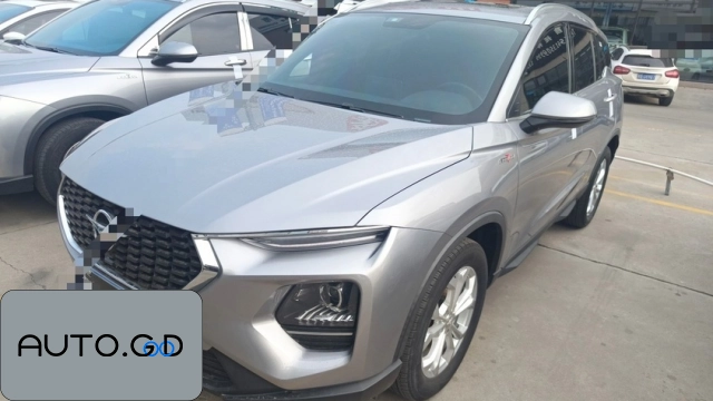 Haima Haima 6P 8S 1.6TGDI Automatic Tide Edition 0