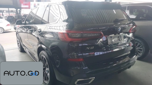 BMW X5 xDrive40i M Sport Package (Import) 1