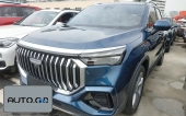 Geely Geely xDrive25i M Off-Road Package 0