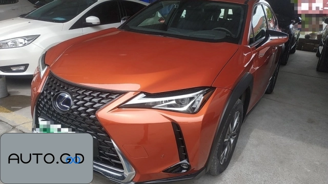 Lexus UX ev 300e Pure-Pleasure Edition 0