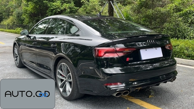 Audi S5 S5 3.0T Sportback(Import) 1