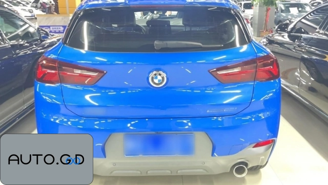 BMW X2 sDrive25i Leading M Off-Road Package 1
