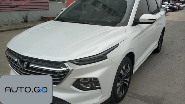 Wuling Victory (Kaijie) 1.5T Automatic Flagship 0