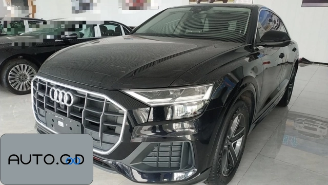 Audi Q8 45 TFSI Luxury Elegance (Import) 0