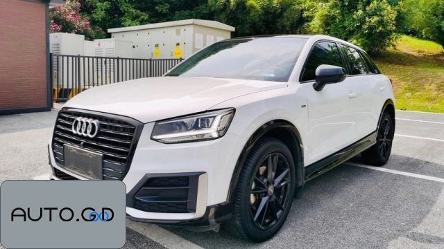 Audi Q2L 35TFSI Launch Exclusive Edition National V 0