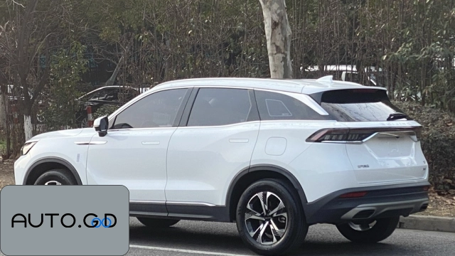 BAIC X7 1.5TD DCT Zest Edition 1