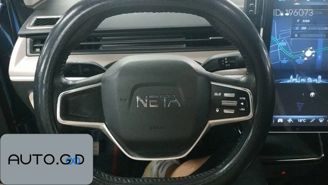 NETA V Standard range entertainment version 2