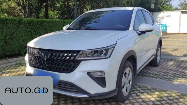 Wuling Xingchi 1.5L manual free type 0