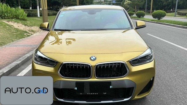 BMW X2 sDrive25i Leading M Off-Road Package 0