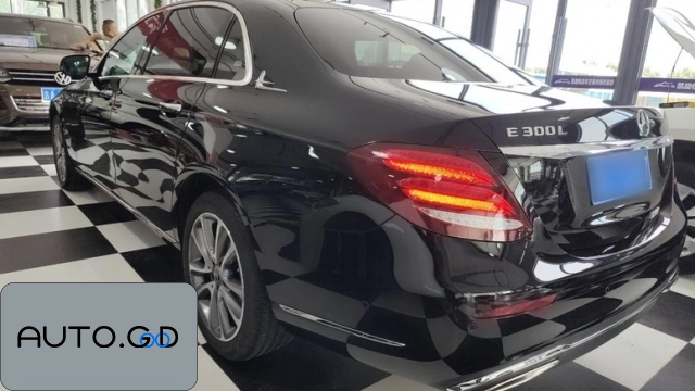 Mercedes-Benz E-class E 300 L Fashion 1