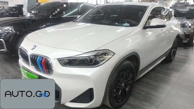 BMW X2 sDrive25i M Off-Road Package 0
