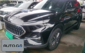 Jac Jiayue X7 xDrive25i M Off-Road Package 0