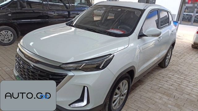 BAIC X3 1.5T CVT Glory Edition 0