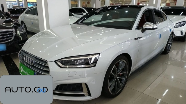 Audi S5 S5 3.0T Sportback(Import) 0