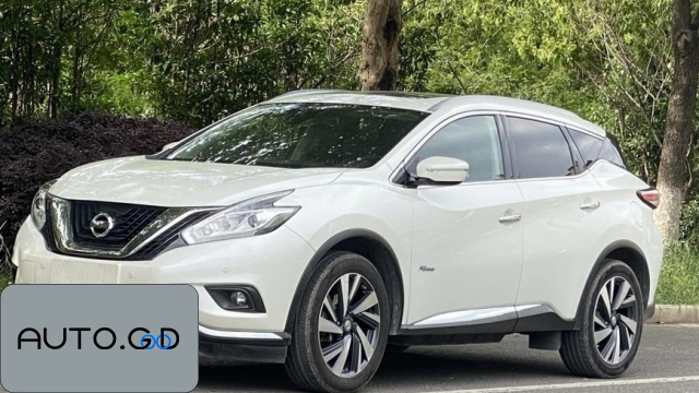 Nissan Murano xDrive25i M Off-Road Package 0
