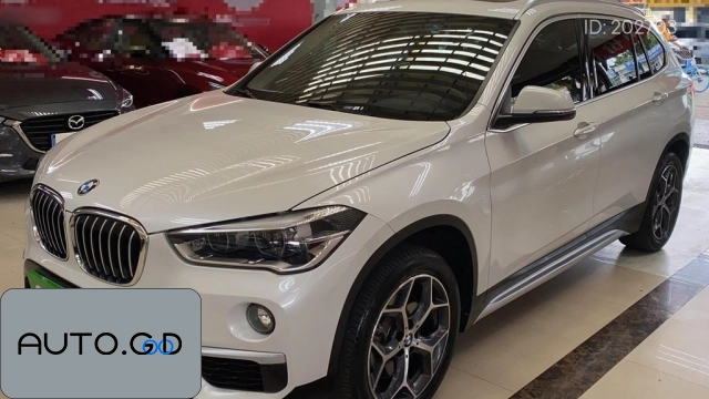 BMW X1 xDrive20Li Premium 0