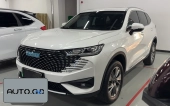 Haval Haval xDrive25i M Off-Road Package 0