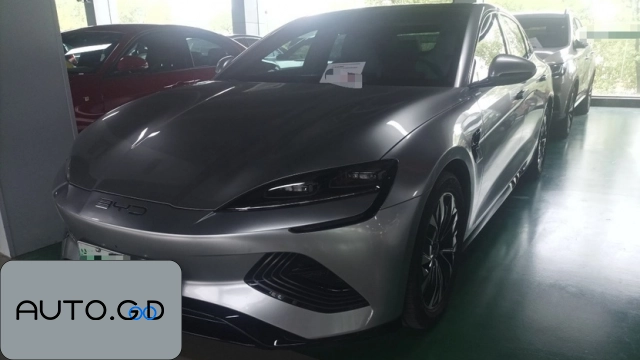 BYD seal 550km standard range rear drive version premium 0