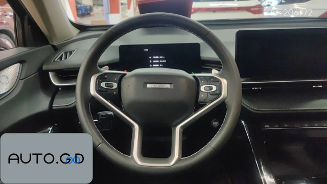 Haval H6 Third Generation 1.5T Automatic 2WD Supreme 2