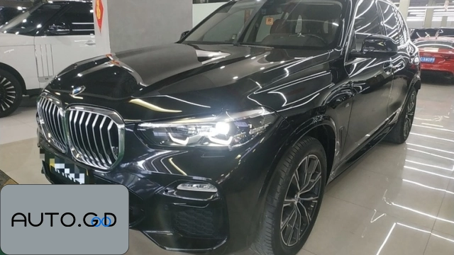 BMW X5 xDrive30i M Sport Package 0