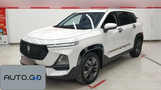 Baojun RS-5 1.5T CVT Intelligent Driving Control Deluxe Edition National VI 1
