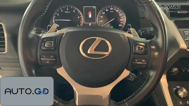 Lexus NX 200 Front-wheel-drive Frontage Edition National VI 2