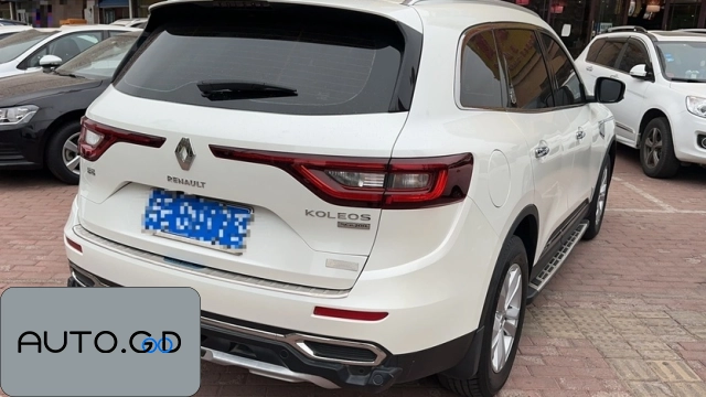 Renault koleos 2.0L 2WD Leading Edition 1