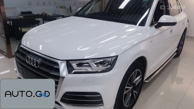 Audi Q5L 40 TFSI Rongxiang Style 0