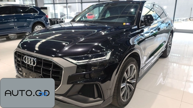 Audi Q8 45 TFSI Premium Dynamic (Import) 0