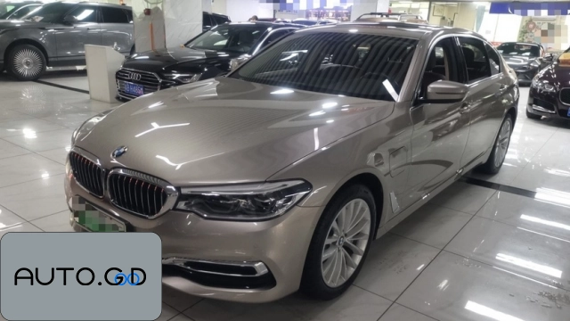 BMW 5 new energy Mileage Upgrade Edition 530Le Pioneer Edition 0