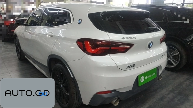 BMW X2 sDrive25i M Off-Road Package 1