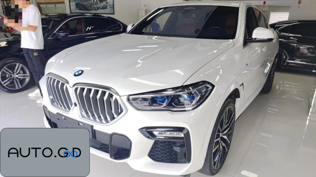 BMW x6 xDrive40i Premium M Sport Package (Import) 0