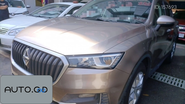 BORGWARD BX5 20TGDI Automatic 2WD Pioneer 0
