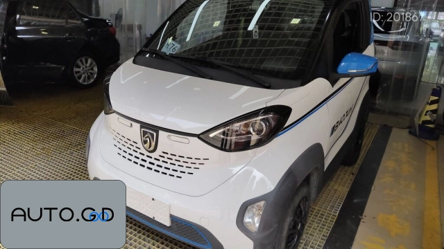 Baojun E100 250KM Smart Edition 0