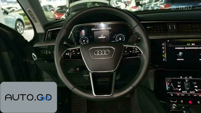 Audi e-tron 55 quattro 2