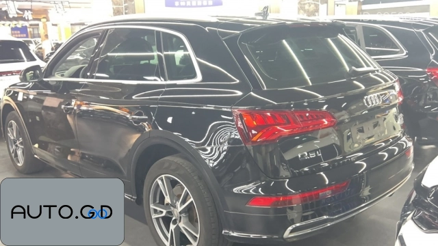 Audi Q5L 40 TFSI Rongxiang Style 1