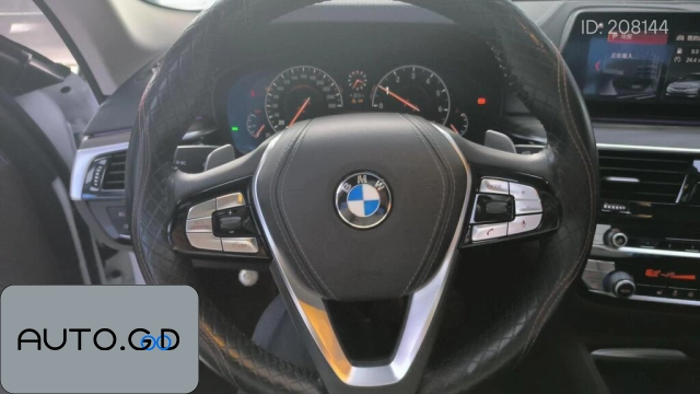 BMW 5 530Li Leading Luxury Package 2