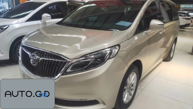 Buick GL8 ES 28T Premium National V 0